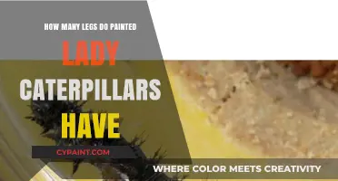 Painted Lady Caterpillar Legs: Unveiling the Surprising Truth About Their Limbs