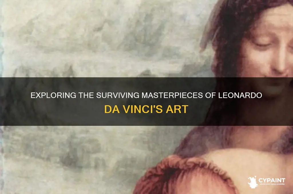 how many leonardo da vinci painting exist