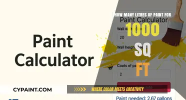 Paint Job: Litres Required for 1000 Square Feet