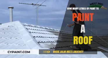 Paint Your Roof: How Many Liters Required?