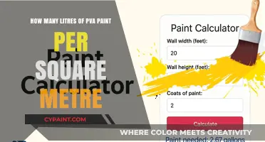 PVA Paint Coverage: How Much for One Square Metre?