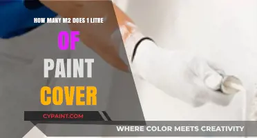 Paint Coverage: 1 Litre, How Much Area?