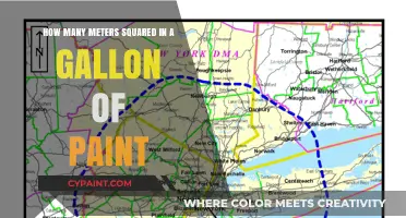 Paint Gallon Coverage: Meters Squared