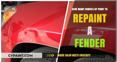 Paint Job: Fender Makeover Ounces