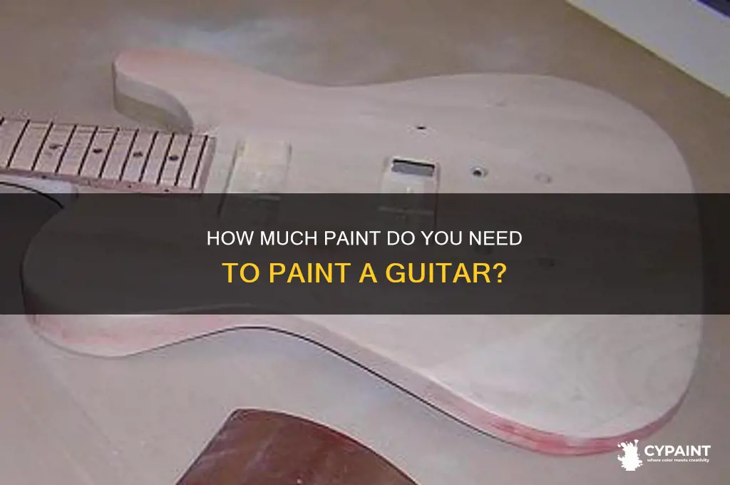 how many oz of paint is enough for a guitar