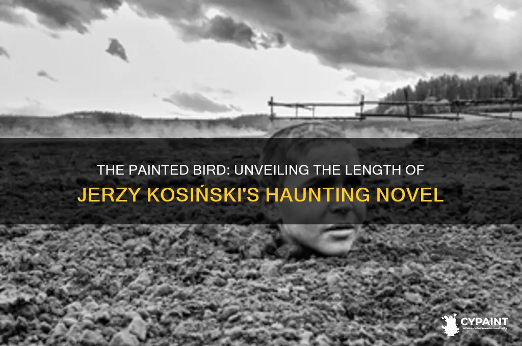 how many pages is the painted bird