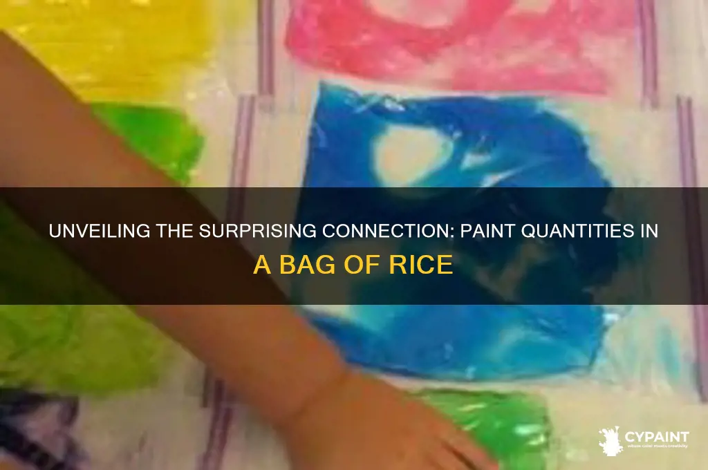 how many paint are there in one bag of rice