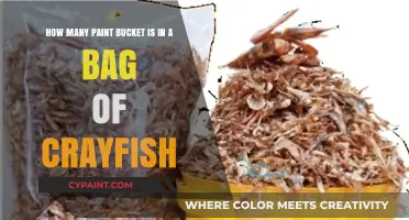 Crayfish to Paint Buckets: Unraveling the Unexpected Measurement Mystery