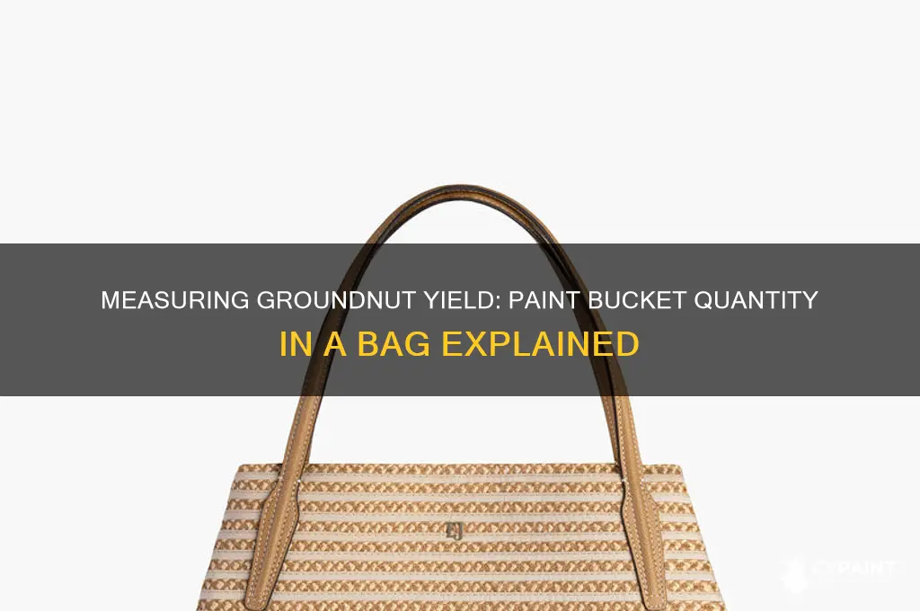 how many paint bucket is in a bag of groundnut
