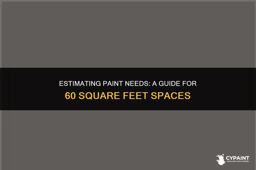 how many paint cans for 60 square feet
