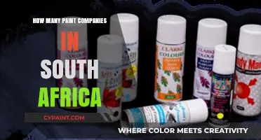 Exploring South Africa's Paint Industry: A Comprehensive Company Count