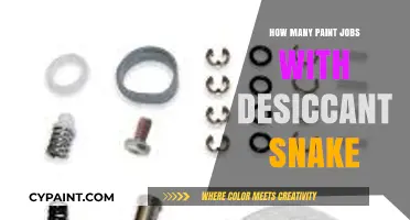 Maximizing Paint Jobs with Desiccant Snake Efficiency: Tips and Tricks