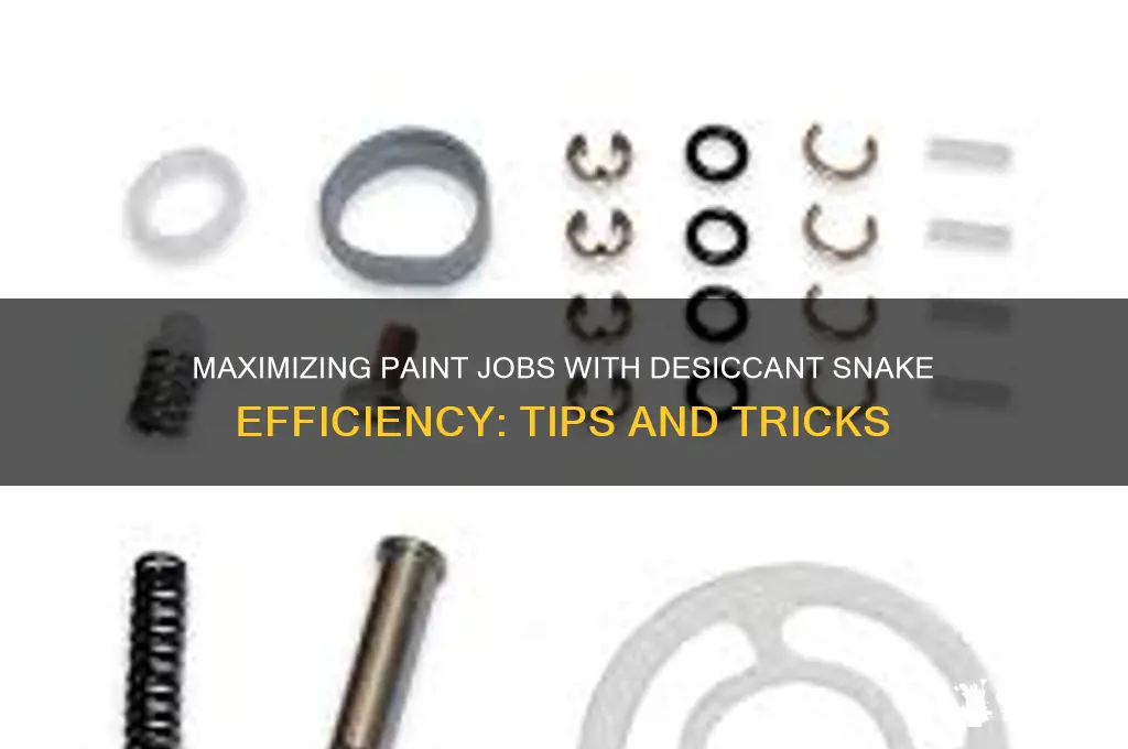how many paint jobs with desiccant snake
