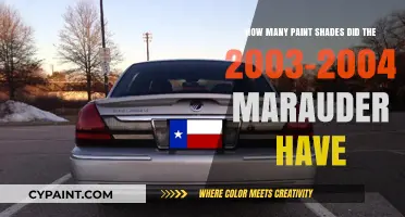 Exploring the 2003-2004 Marauder's Paint Palette: Shades Revealed