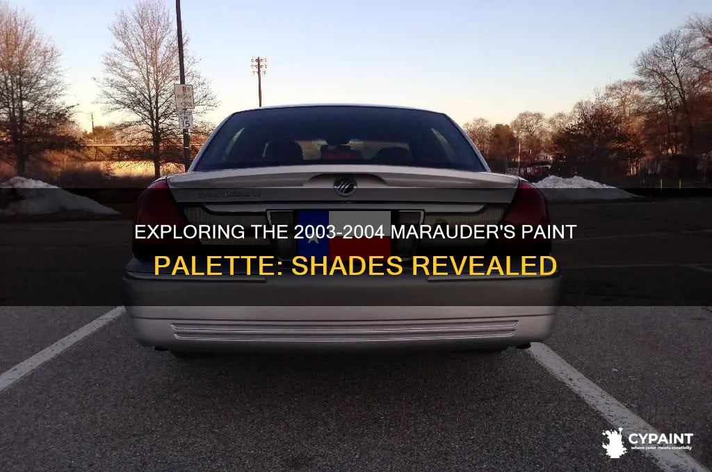 how many paint shades did the 2003-2004 marauder have