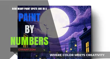 Unveiling the Count: Paint Spots in Paint by Numbers Kits