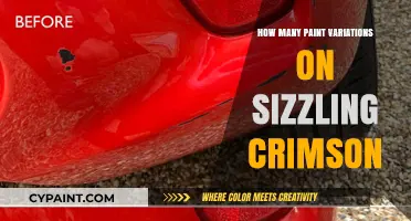 Exploring the Vibrant World of Sizzling Crimson Paint Variations