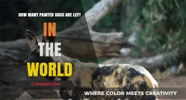The Painted Dogs' Fight for Survival