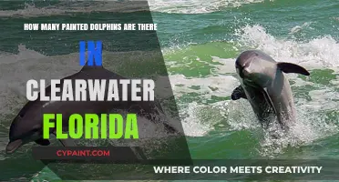 Clearwater's Colorful Dolphins: A Unique Florida Attraction
