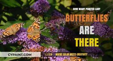 Exploring the Global Population of Painted Lady Butterflies