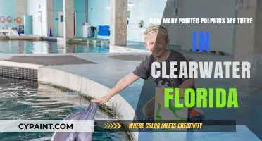 Painted Dolphins of Clearwater, Florida: A Unique Attraction