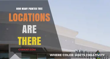 Discovering the Number of Painted Tree Boutiques Across the Country