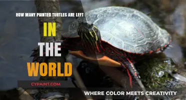 Painted Turtles: Population, Threats, and Conservation Efforts
