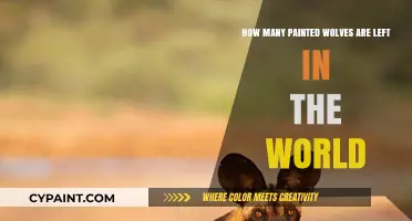 The Painted Wolves' Population: A Global Concern