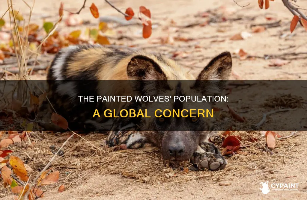 how many painted wolves are left in the world