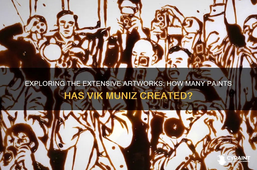 how many paints have vik muniz made