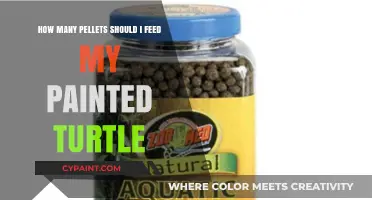Feeding Your Painted Turtle: Pellet Diet Portions