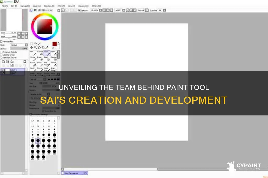 how many people made paint tool sai