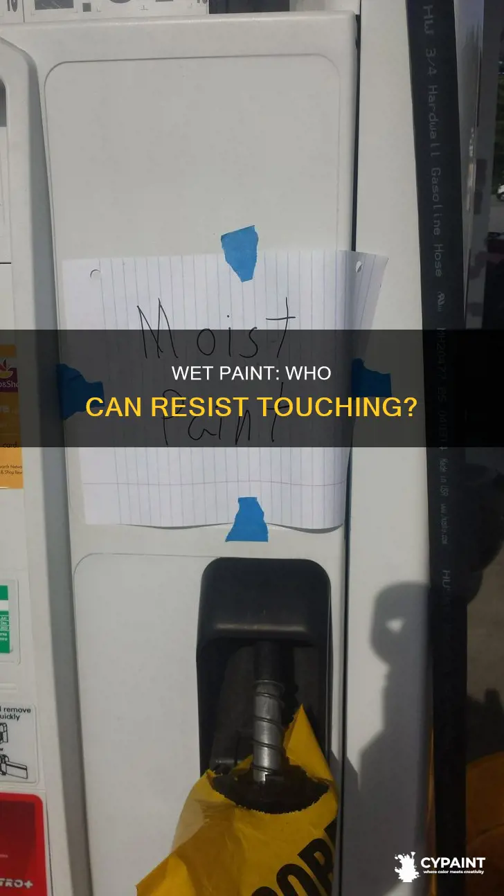 how many people touch signs that say wet paint