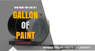 Gallon of Paint: How Many Pints?