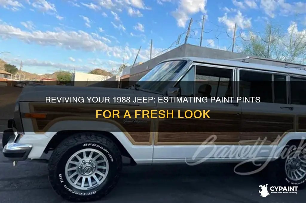 how many pints of paint to paint a 1988 jeep