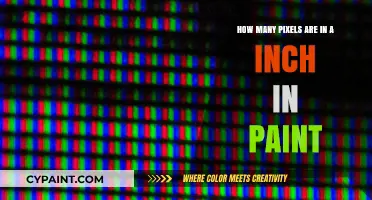 Pixels and Inches: Understanding Paint's Resolution
