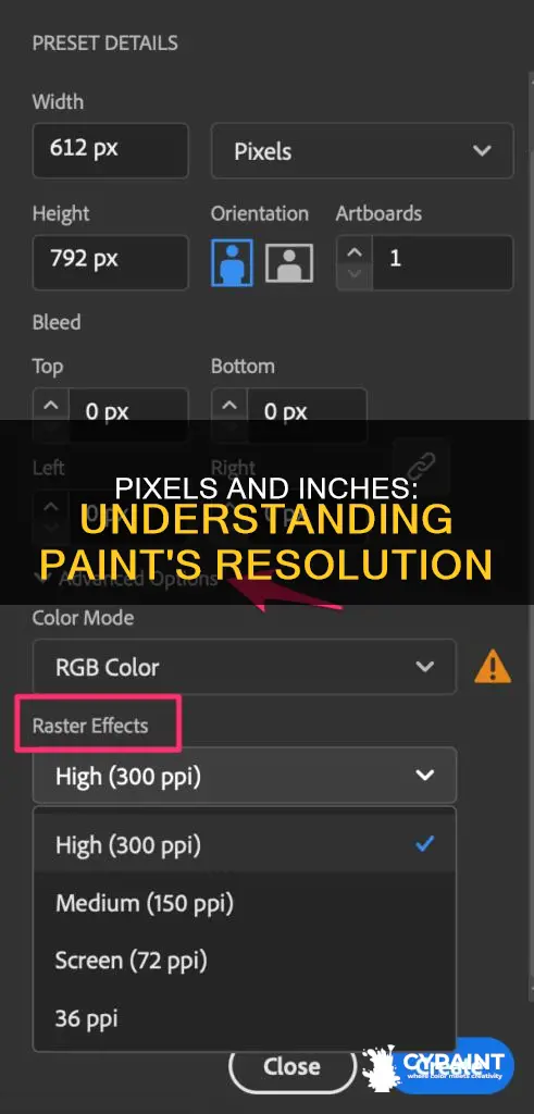 how many pixels are in a inch in paint