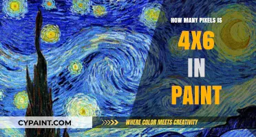 Understanding 4x6 Image Size in Pixels for Paint Users