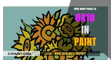 Understanding 8x10 Image Dimensions in Pixels for Paint Projects