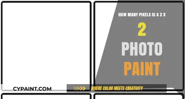 Understanding 2x2 Photo Paint Pixel Dimensions for Perfect Image Creation