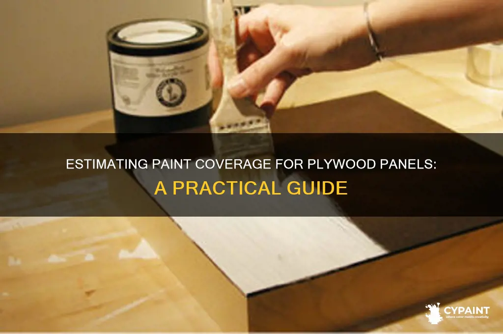 how many plywlod panels can one can of paint cover