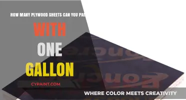 One Gallon Paint Coverage: How Many Plywood Sheets Can You Coat?