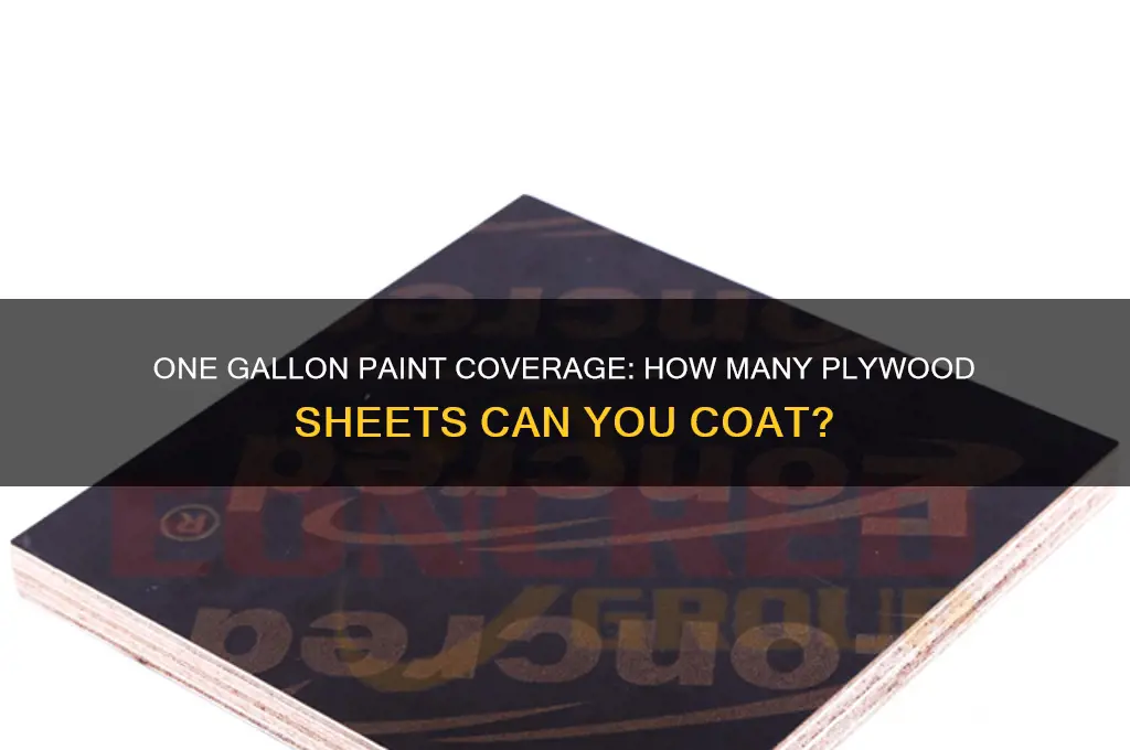 how many plywood sheets can you paint with one gallon