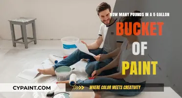 How Much Does a 5-Gallon Bucket of Paint Weigh?