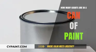 Understanding Paint Can Quart Capacity