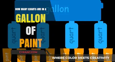 Understanding Gallons and Quarts of Paint