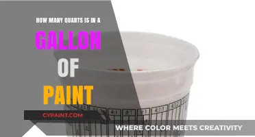 Understanding Gallons and Quarts of Paint