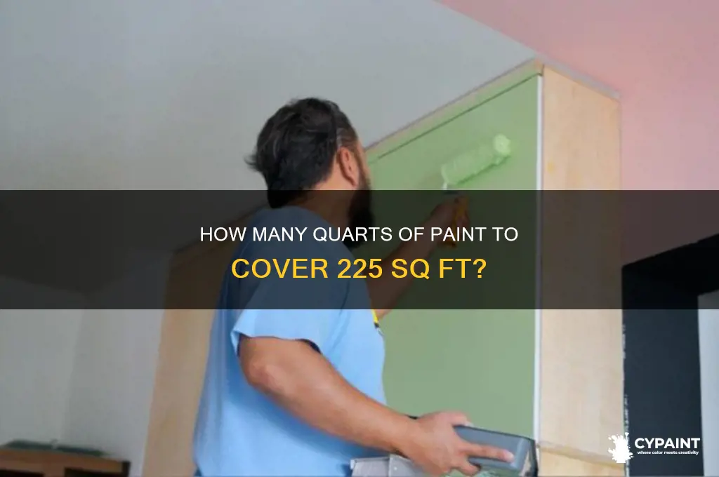 how many quarts of paint to cover 225 sq ft