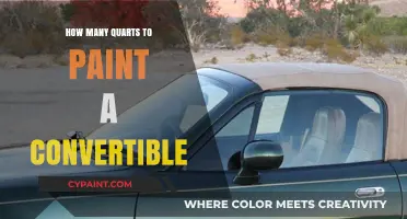 Painting Your Convertible: How Many Quarts of Paint Do You Need?