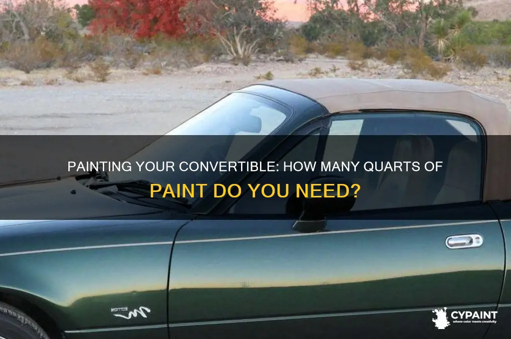 how many quarts to paint a convertible